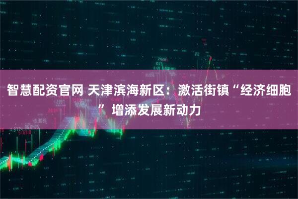智慧配资官网 天津滨海新区：激活街镇“经济细胞” 增添发展新动力